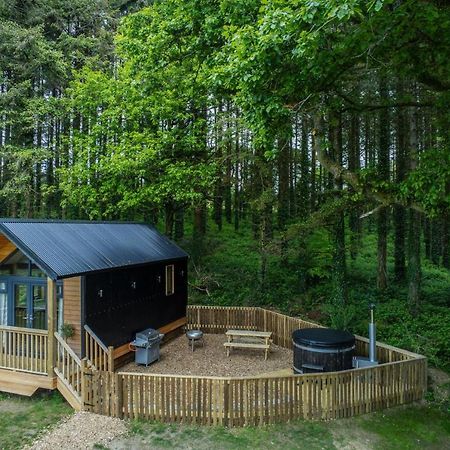 Cabin In The Woods - 1 Bedroom Lodge - Kilgetty Stepaside  Eksteriør billede