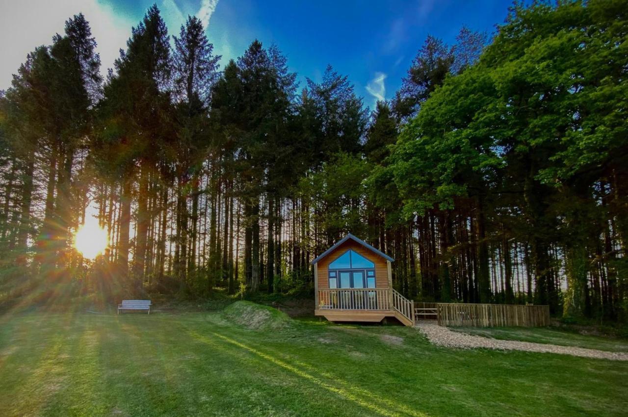 Cabin In The Woods - 1 Bedroom Lodge - Kilgetty Stepaside  Eksteriør billede