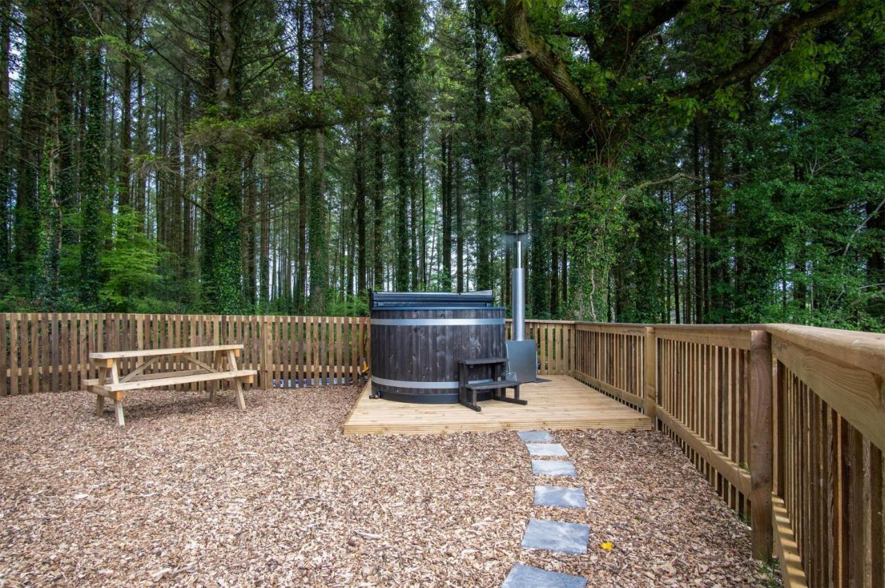 Cabin In The Woods - 1 Bedroom Lodge - Kilgetty Stepaside  Eksteriør billede