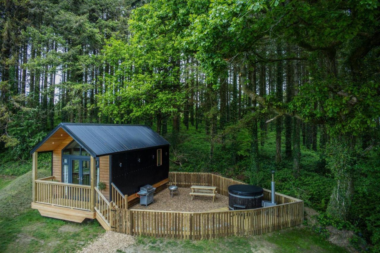 Cabin In The Woods - 1 Bedroom Lodge - Kilgetty Stepaside  Eksteriør billede