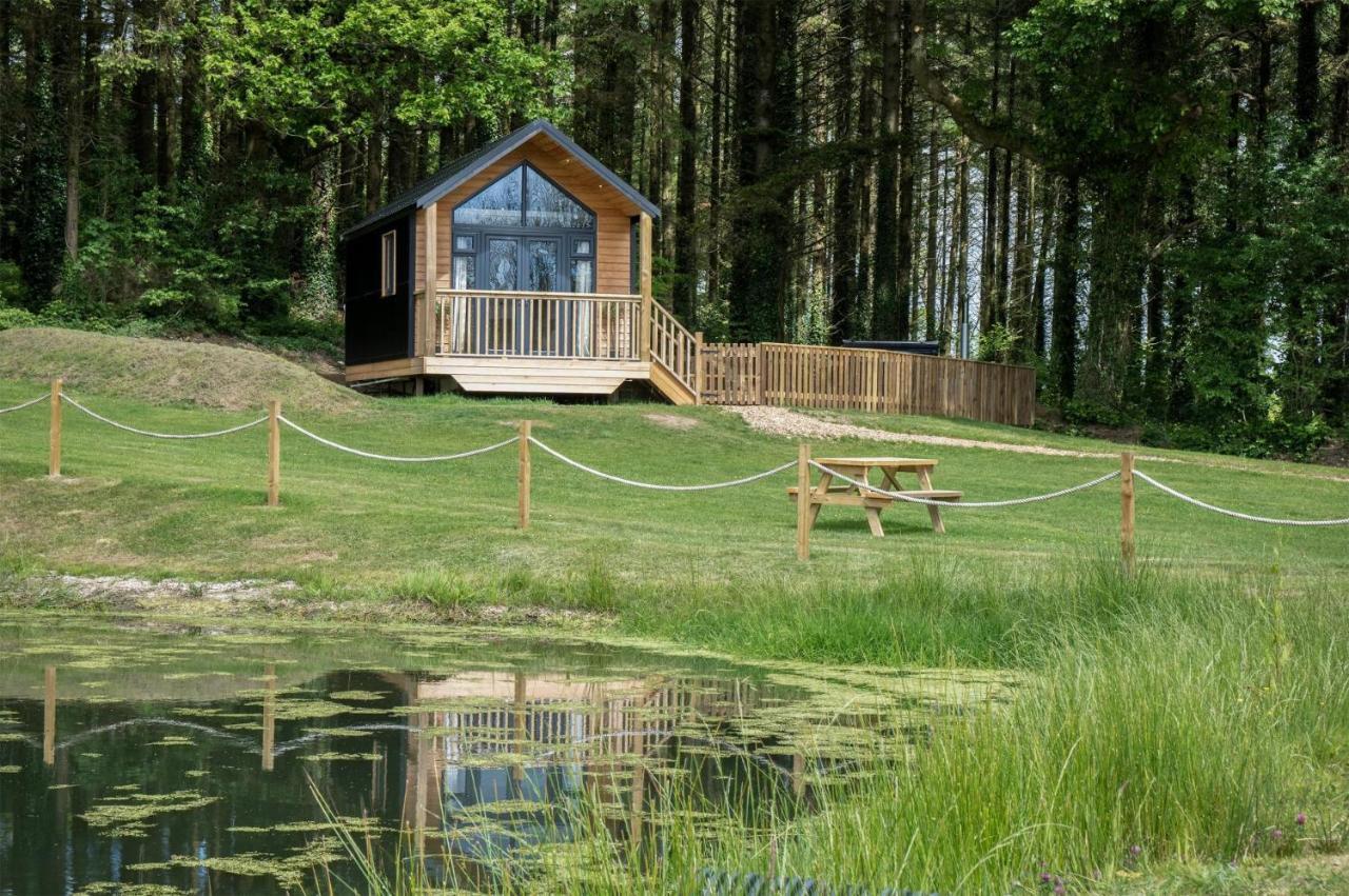 Cabin In The Woods - 1 Bedroom Lodge - Kilgetty Stepaside  Eksteriør billede