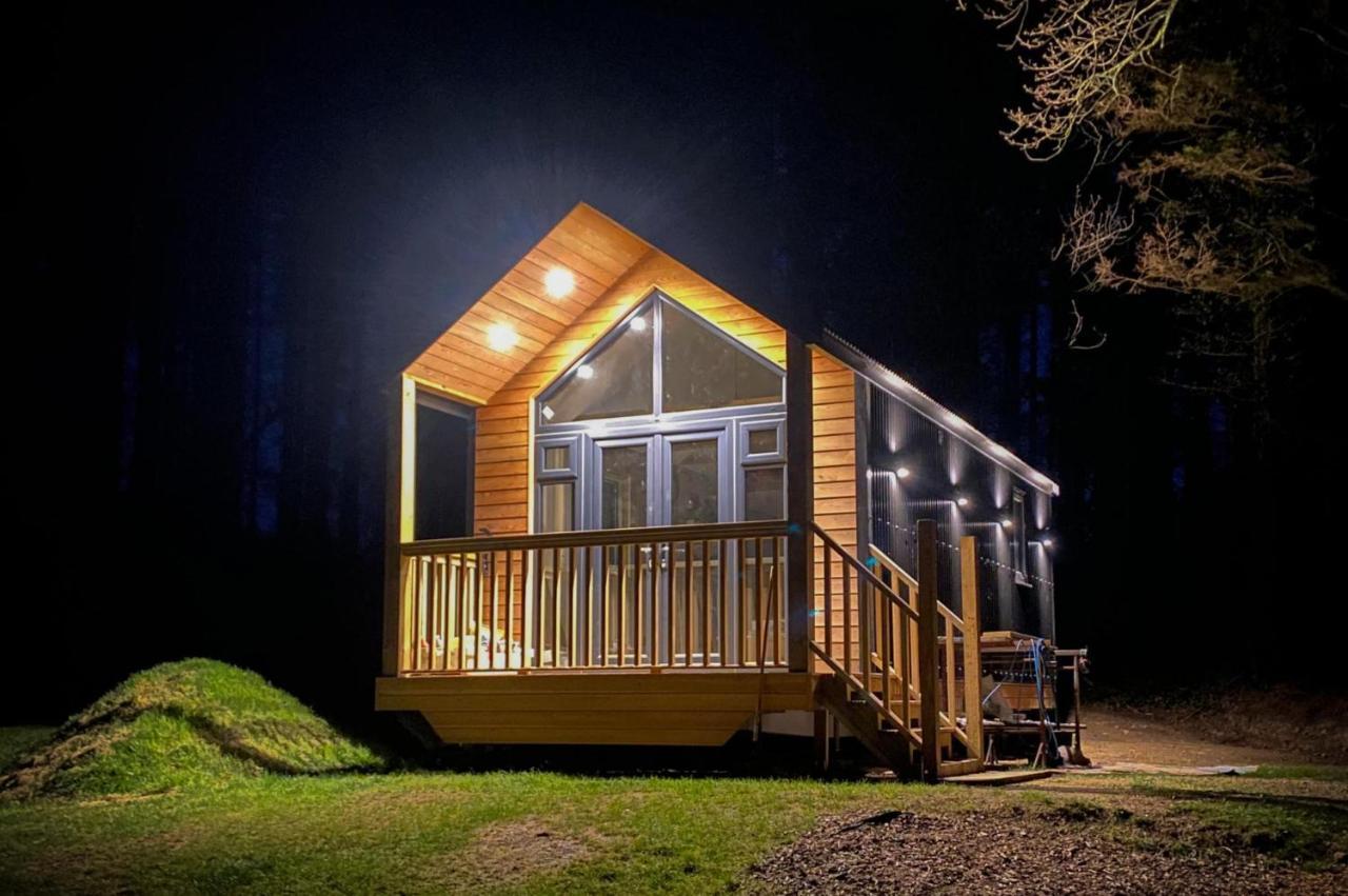 Cabin In The Woods - 1 Bedroom Lodge - Kilgetty Stepaside  Eksteriør billede