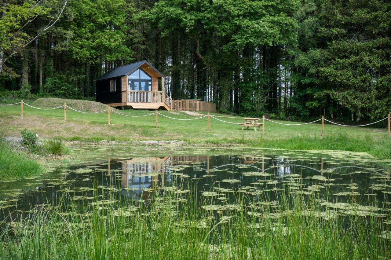 Cabin In The Woods - 1 Bedroom Lodge - Kilgetty Stepaside  Eksteriør billede