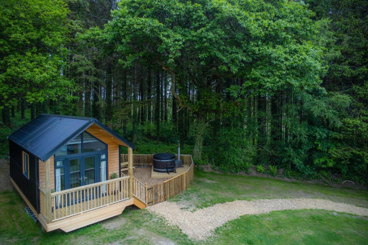 Cabin In The Woods - 1 Bedroom Lodge - Kilgetty Stepaside  Eksteriør billede