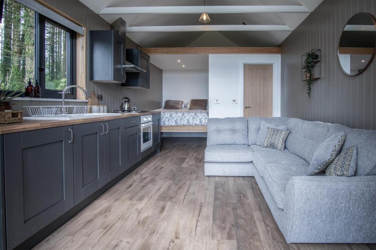 Cabin In The Woods - 1 Bedroom Lodge - Kilgetty Stepaside  Eksteriør billede