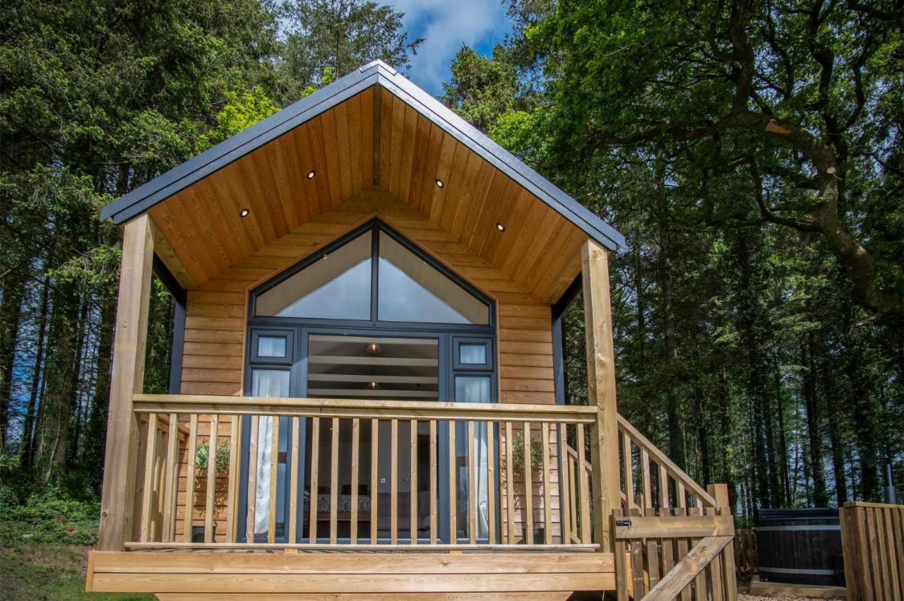 Cabin In The Woods - 1 Bedroom Lodge - Kilgetty Stepaside  Eksteriør billede