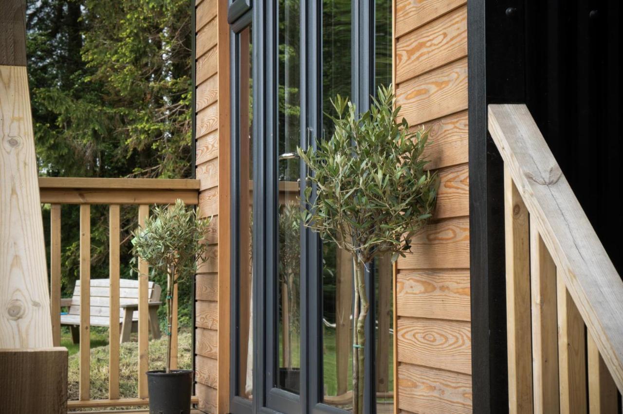 Cabin In The Woods - 1 Bedroom Lodge - Kilgetty Stepaside  Eksteriør billede
