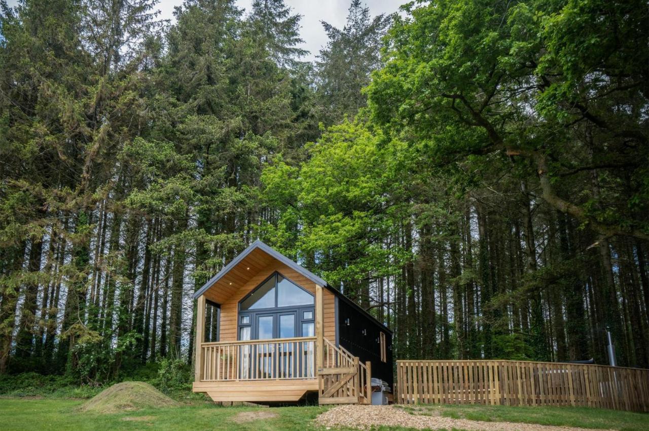 Cabin In The Woods - 1 Bedroom Lodge - Kilgetty Stepaside  Eksteriør billede