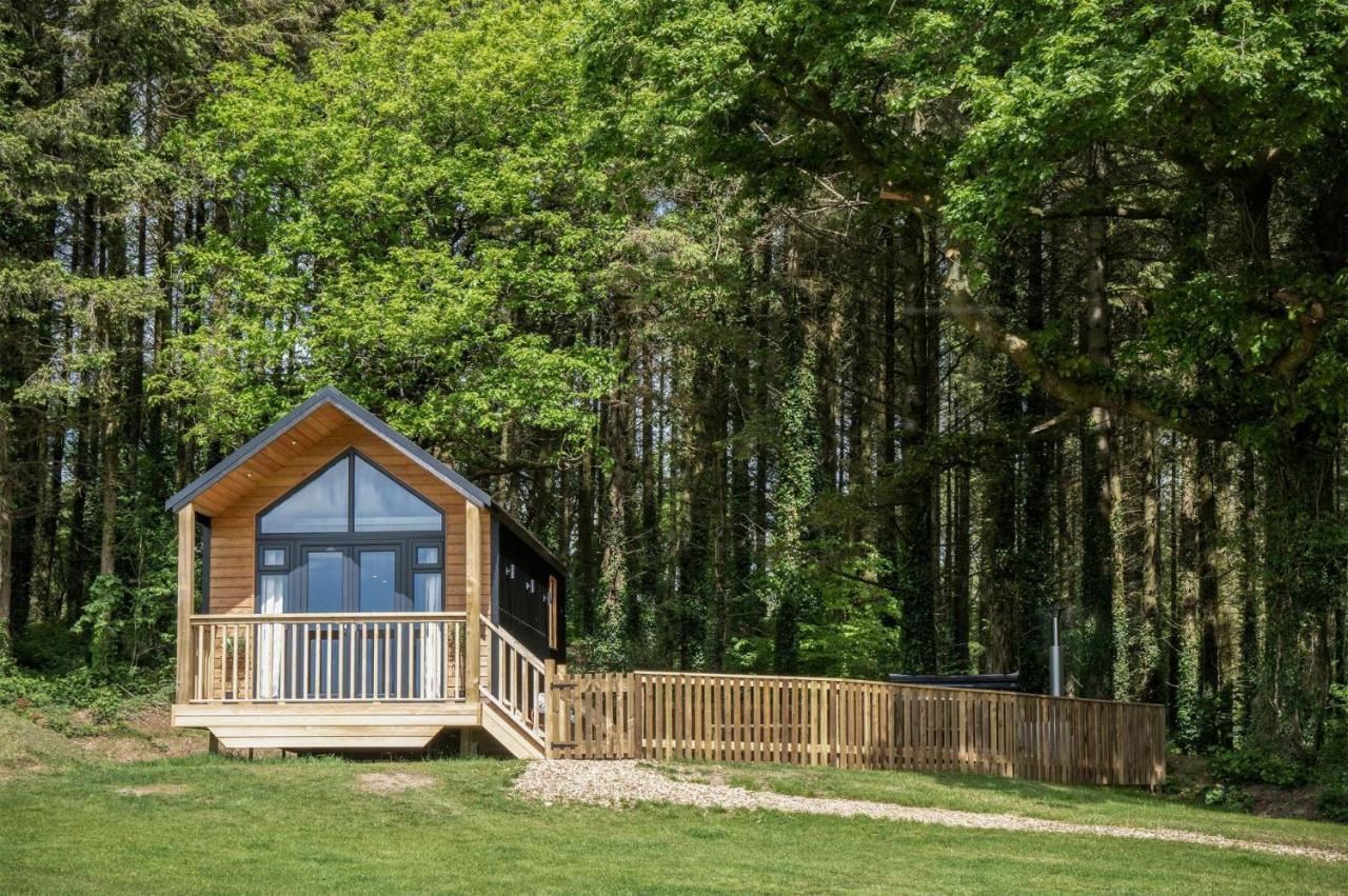 Cabin In The Woods - 1 Bedroom Lodge - Kilgetty Stepaside  Eksteriør billede