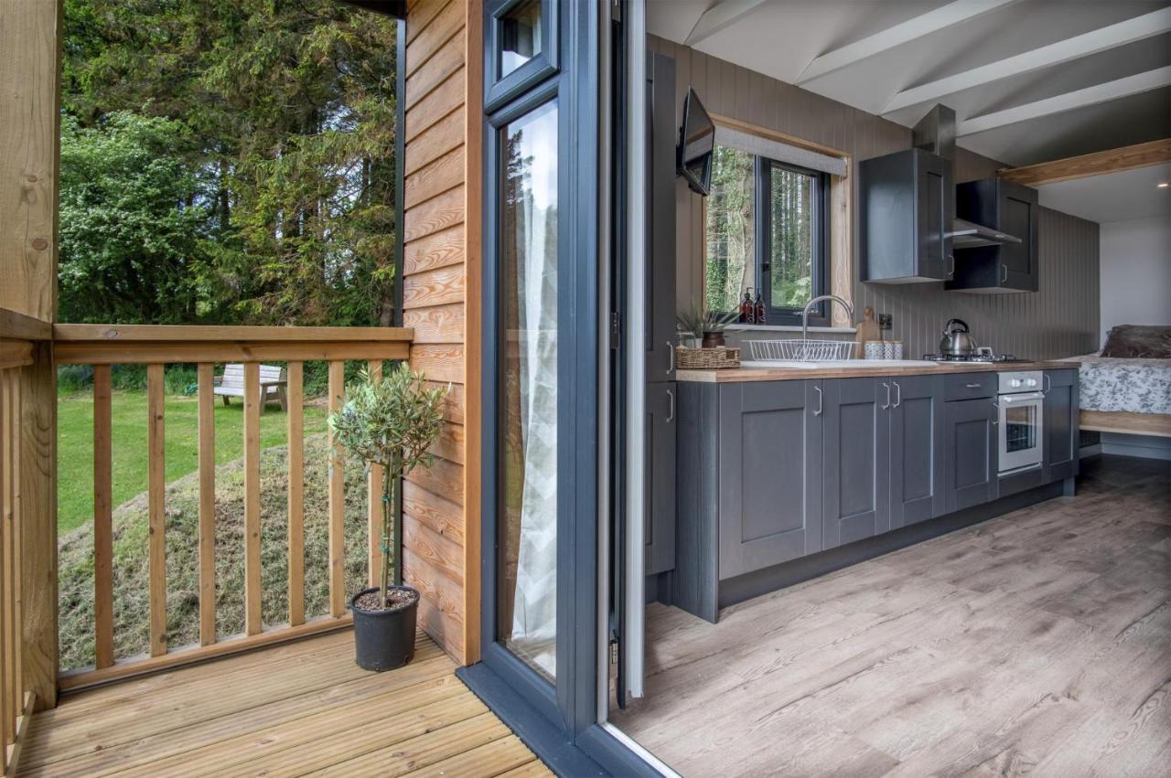 Cabin In The Woods - 1 Bedroom Lodge - Kilgetty Stepaside  Eksteriør billede