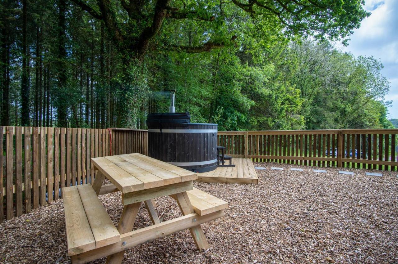 Cabin In The Woods - 1 Bedroom Lodge - Kilgetty Stepaside  Eksteriør billede