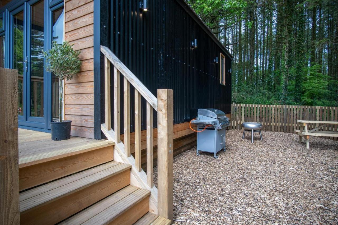 Cabin In The Woods - 1 Bedroom Lodge - Kilgetty Stepaside  Eksteriør billede