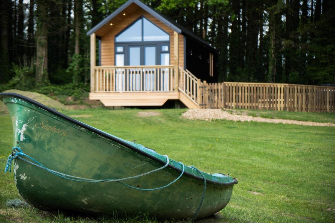 Cabin In The Woods - 1 Bedroom Lodge - Kilgetty Stepaside  Eksteriør billede
