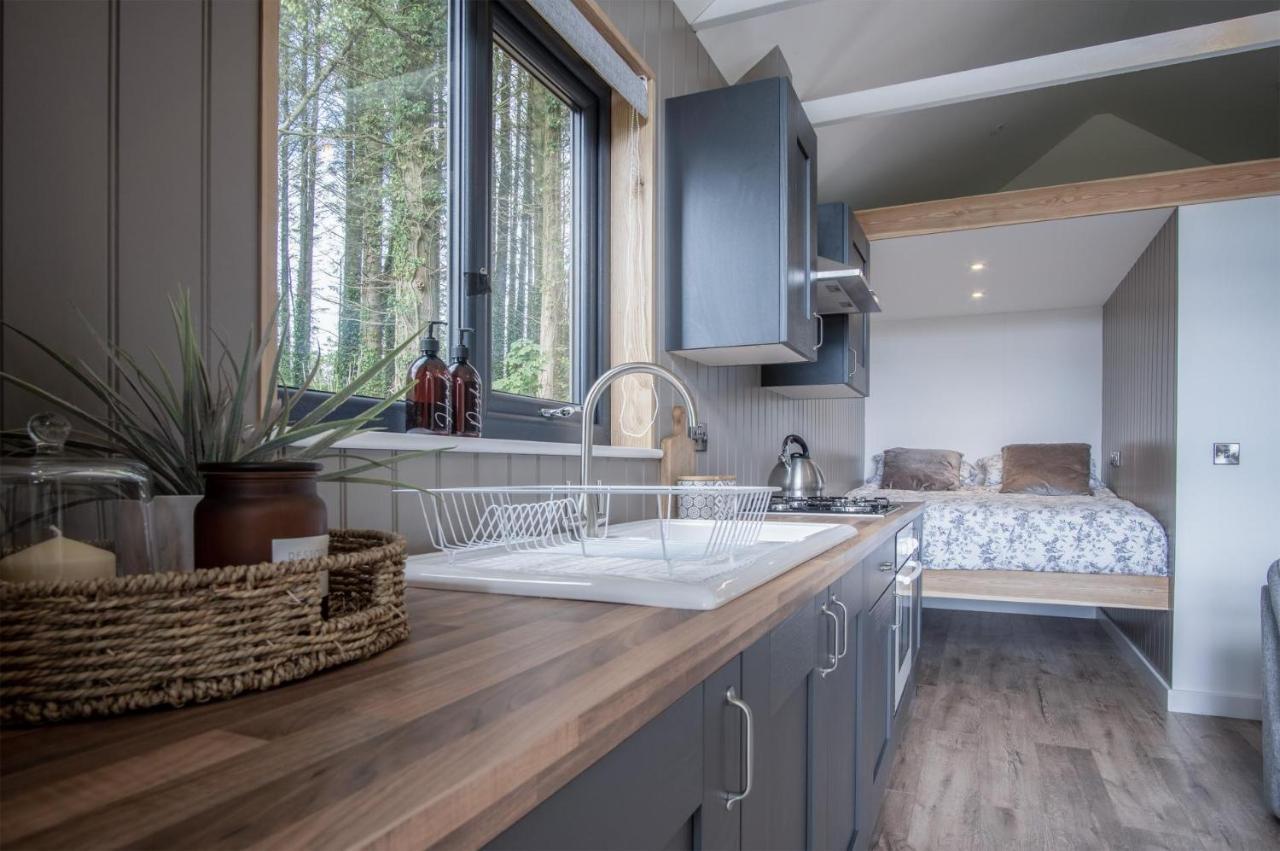 Cabin In The Woods - 1 Bedroom Lodge - Kilgetty Stepaside  Eksteriør billede